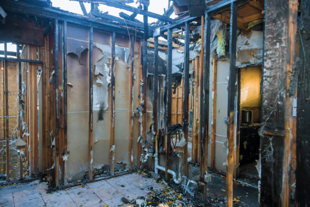 Professional Fire Damage Repair technician working in Plano, KY